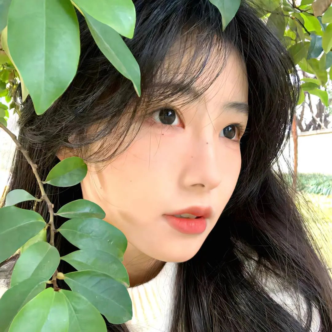 黄金拼图第一季